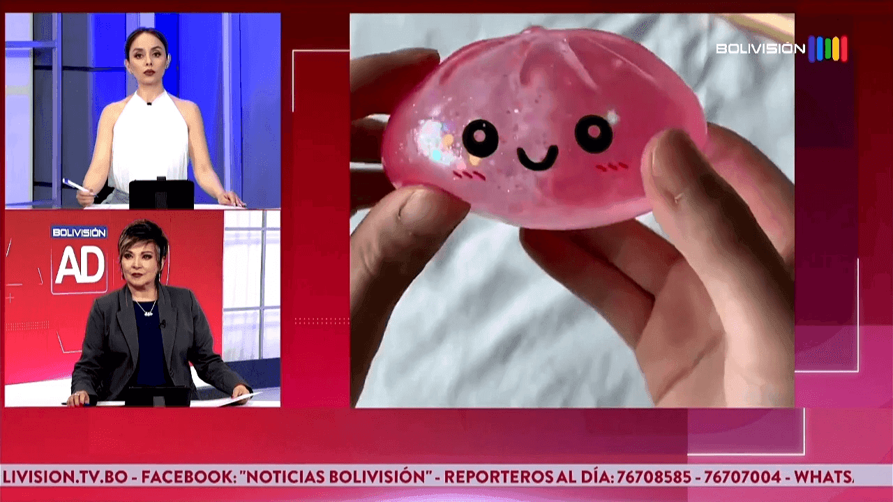 Fotografía de Dumpling Squishy: ¿qué encontraron las autoridades tras el reportaje de Bolivisión?