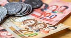 Bono PEPE II pagará Bs 750 y estas son las personas que podrán acceder