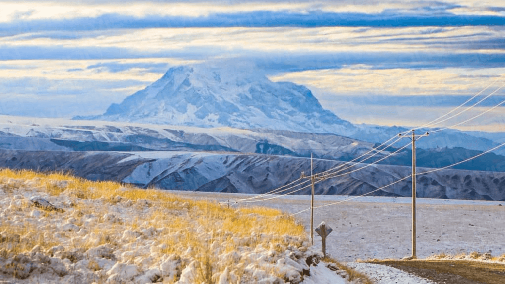 nevada en La Paz