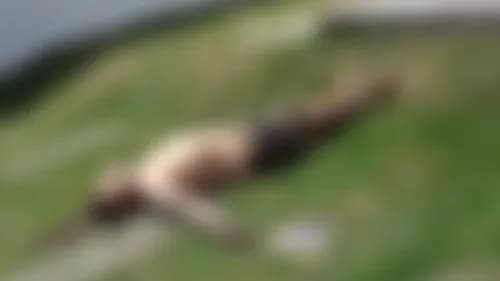 Dos personas fallecidas tras un ataque armado en una vivienda de Aqualand