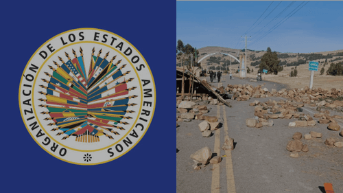 OEA ANALIZA LOS 53 DÍAS DE BLOQUEOS Y LLAMA A PRESERVAR EL ORDEN CONSTITUCIONAL
