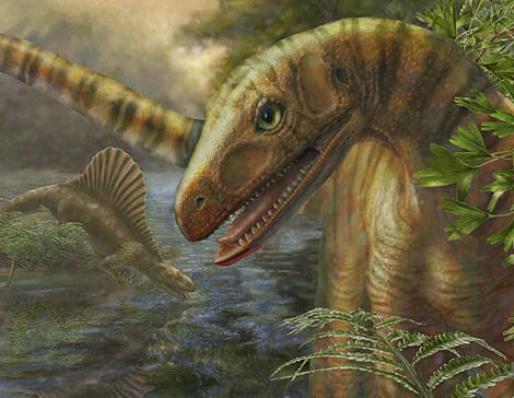 Encontraron el fósil más antiguo de un dinosaurio en el continente africano  - Bolivisión